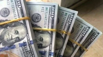 ارتفاع جديد.. صعود الدولار أمام الجنيه المصري خلال أسبوع ببيانات البنك المركزي